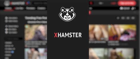 xhamster downloader|Download Xhamster Collection : r/youtubedl